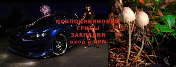 мяу мяу мука Горно-Алтайск