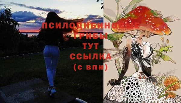 бутират Вязники