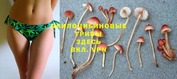 Альфа ПВП Вязьма
