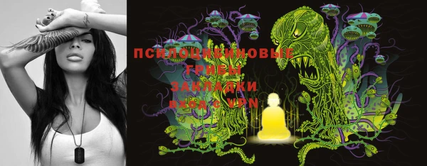 мескалин Вяземский