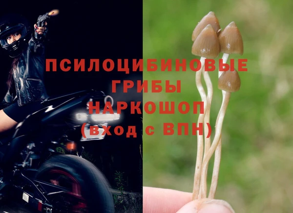 Альфа ПВП Вязьма