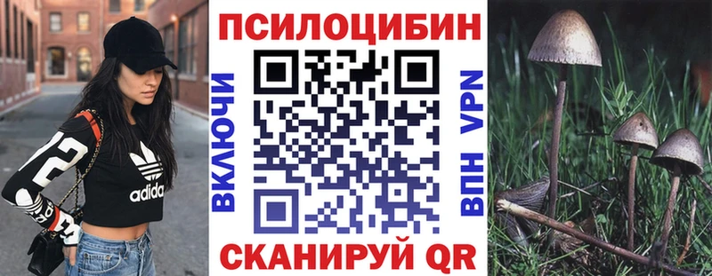 Галлюциногенные грибы MAGIC MUSHROOMS  купить наркотик  Игра 