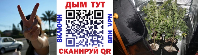 Канабис OG Kush  Игра 